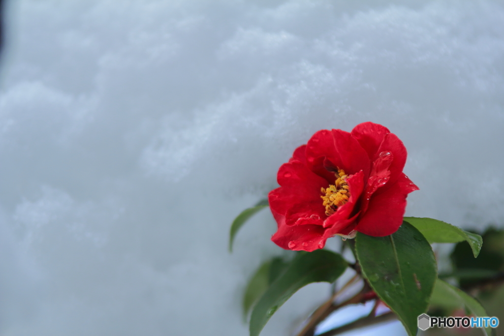 雪の間