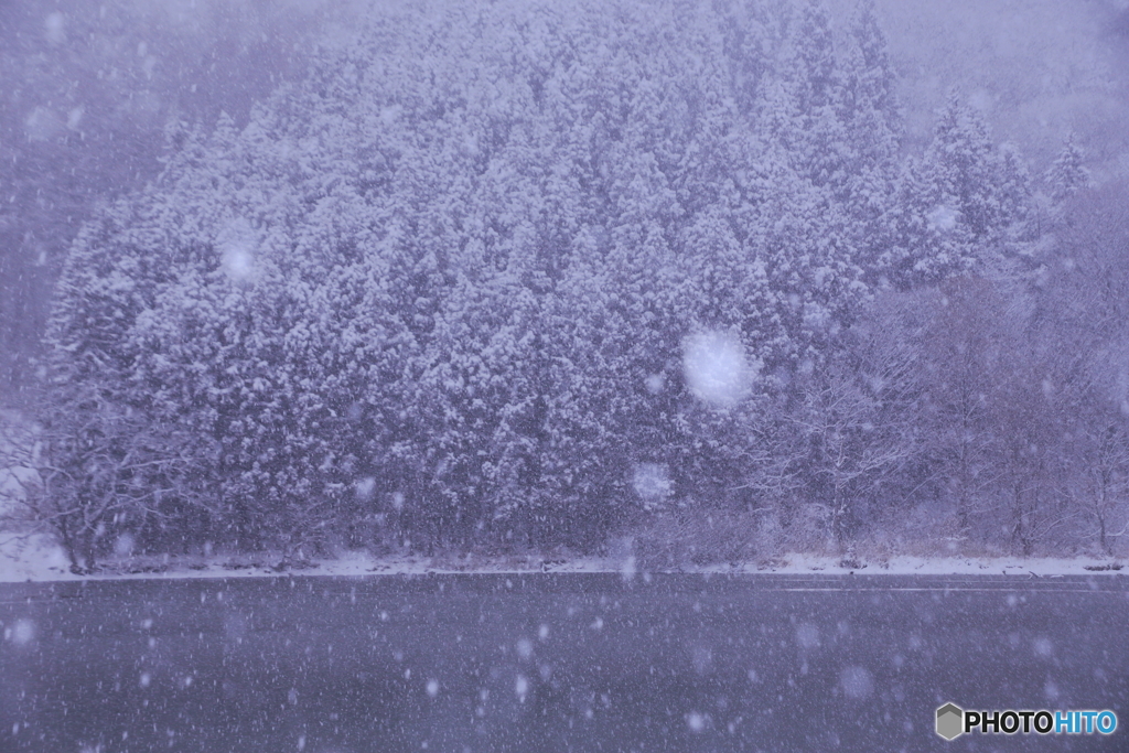 雪が降る