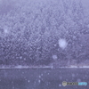 雪が降る