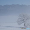 霧の晴れる時