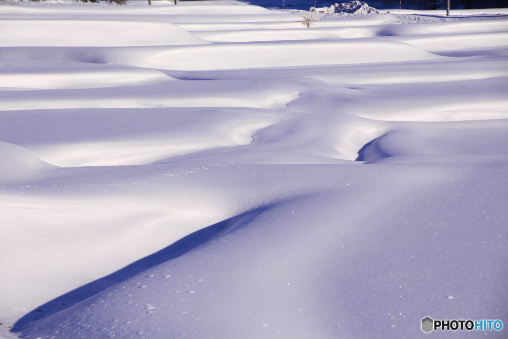 雪の田んぼ