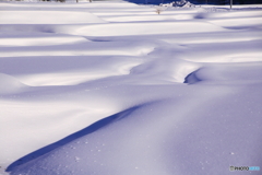 雪の田んぼ