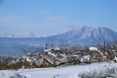 雪の重さ