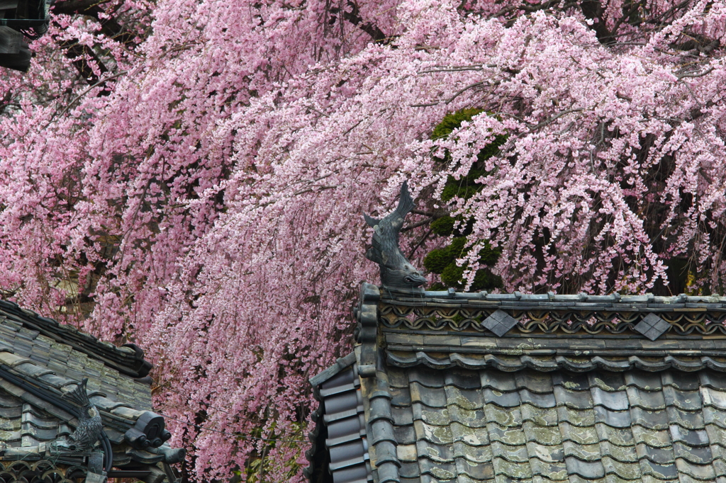 武将の眠る寺