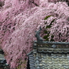 武将の眠る寺