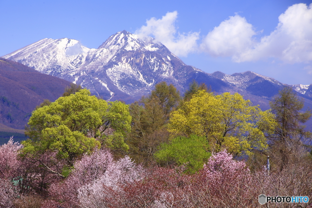 妙高山春色