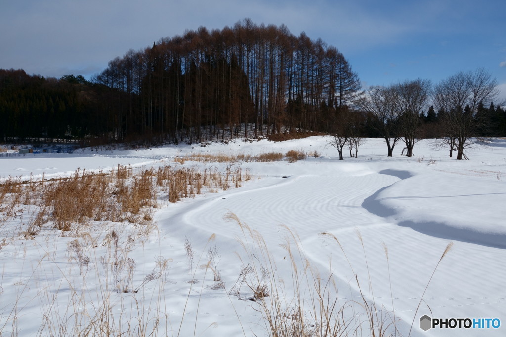 大雪ラプソディー