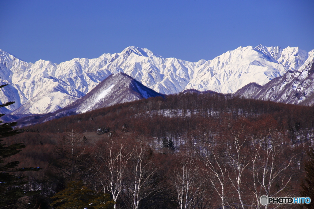 手前の山