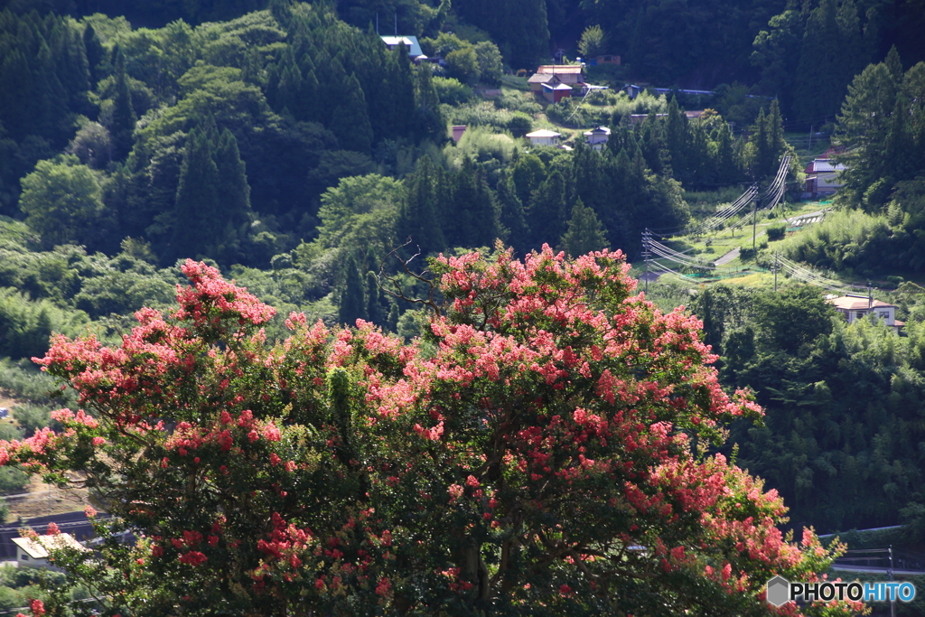 夏のおわり