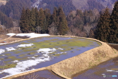 緑の復権