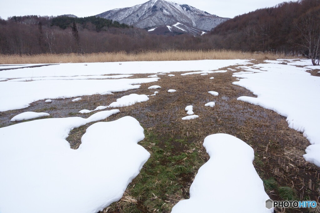 冬なのに