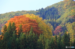 秋景拾遺　５