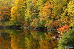 秋の池めぐり　6