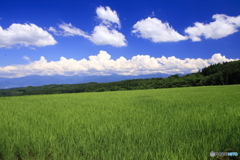 なつー
