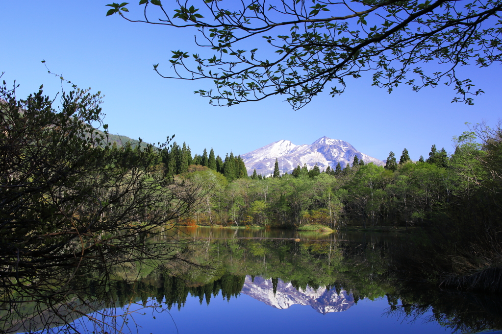 池の中の妙高山