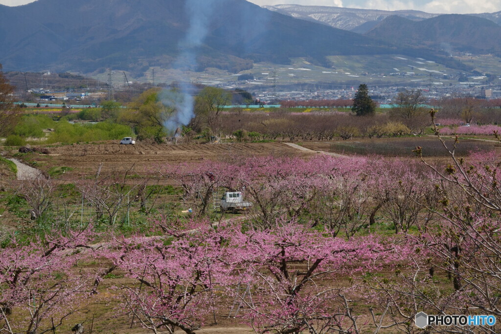 変わらない