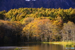 小鳥ケ池秋景 小鳥ケ池秋景