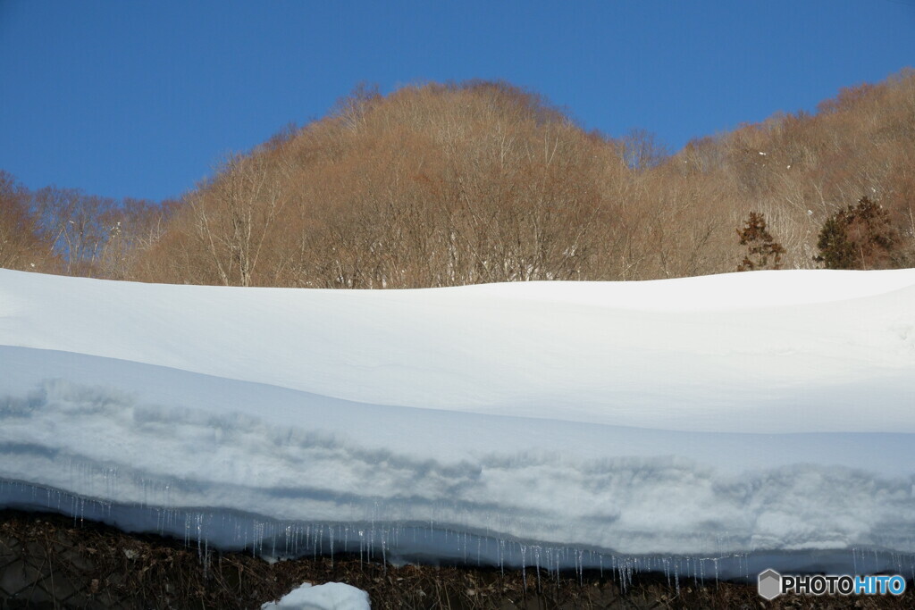 戻ってきた色
