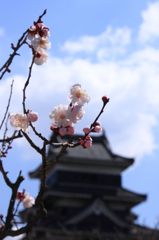 春の日差しを浴びて