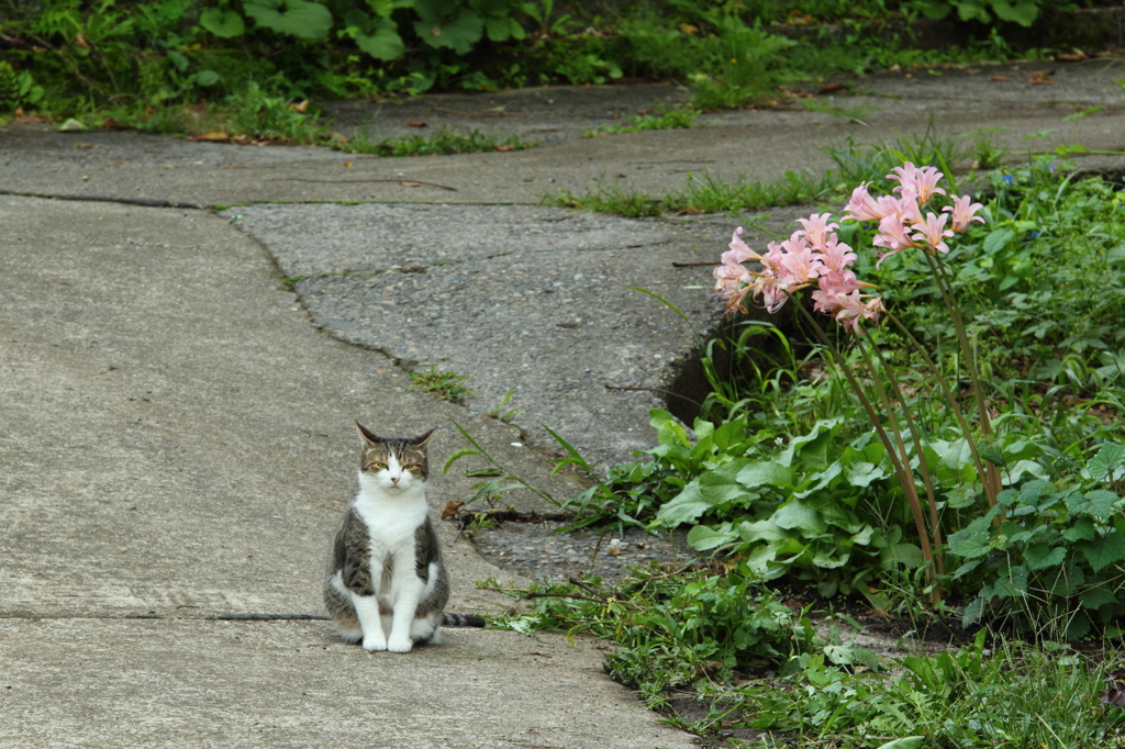 上手く撮れよなー