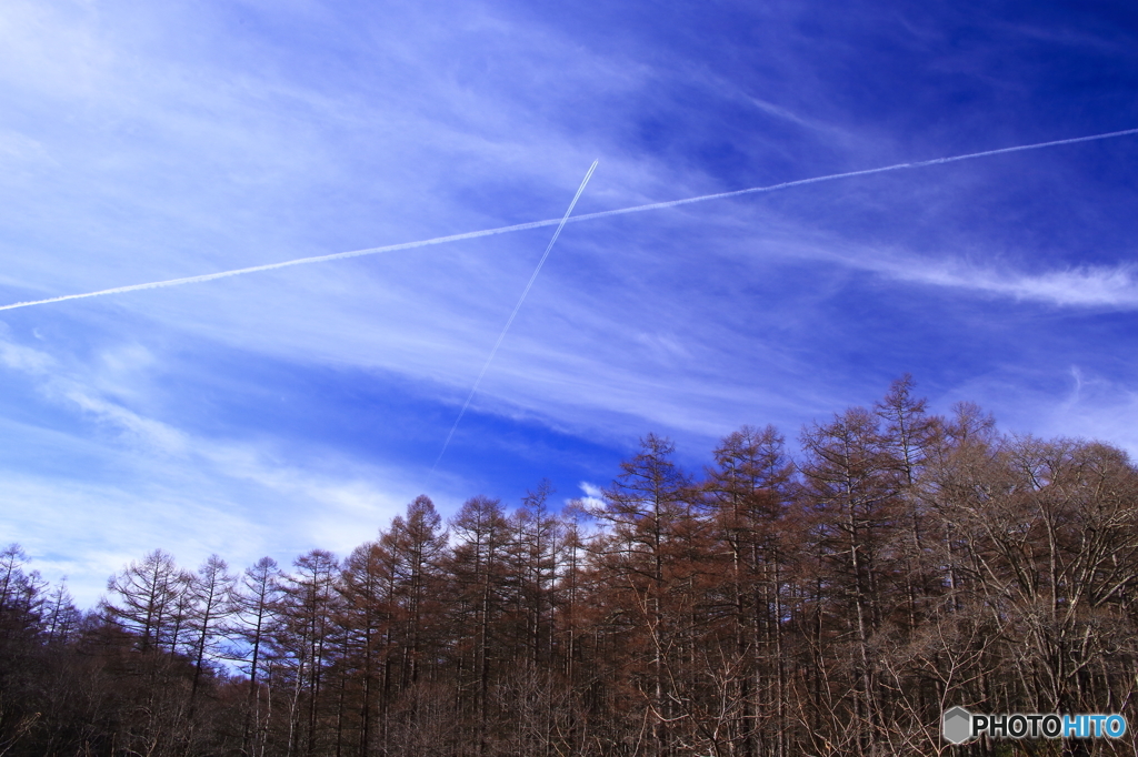 大空からのダメ出し