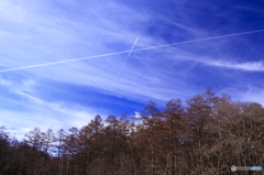 大空からのダメ出し
