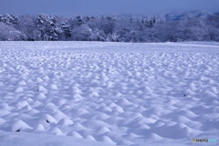 雪の造形