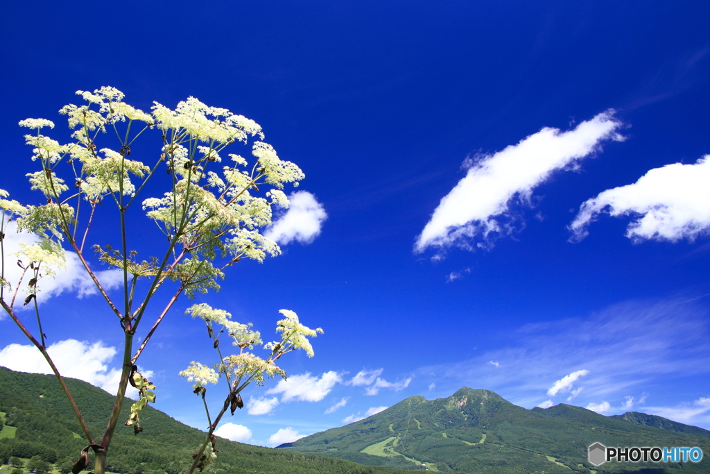 妙高山盛夏