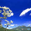 妙高山盛夏