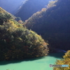 秋の池めぐり　１６