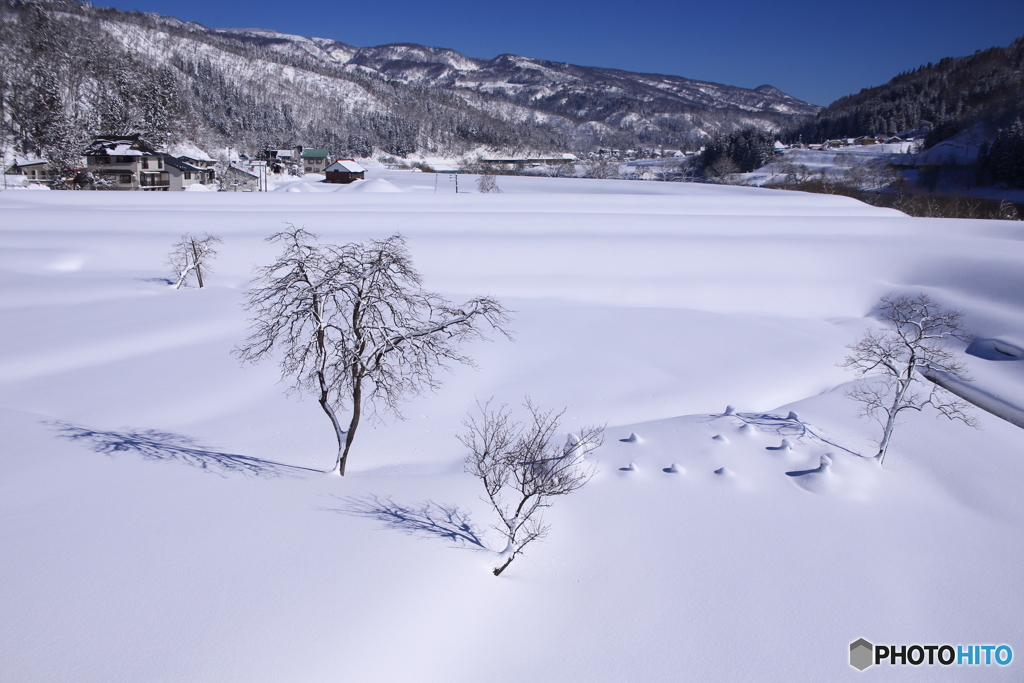 雪景４