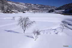 雪景４