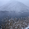 木崎湖雪景