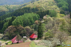 季節はめぐる