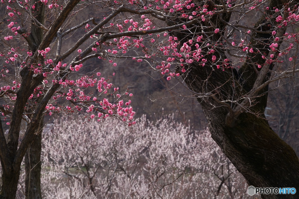 一歩一歩