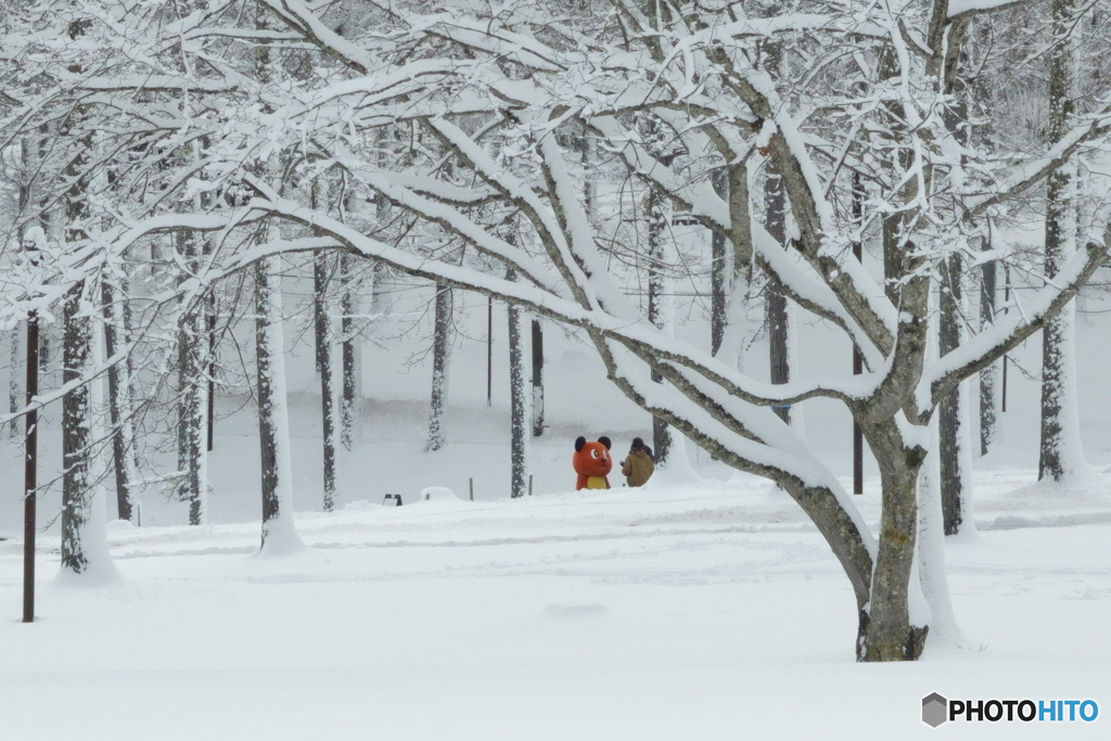 今年の漢字は熊