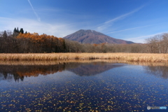 晩秋の池