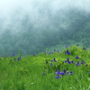 雲湧く