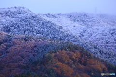 秋景拾遺