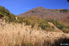 昔を今になすよしもがな