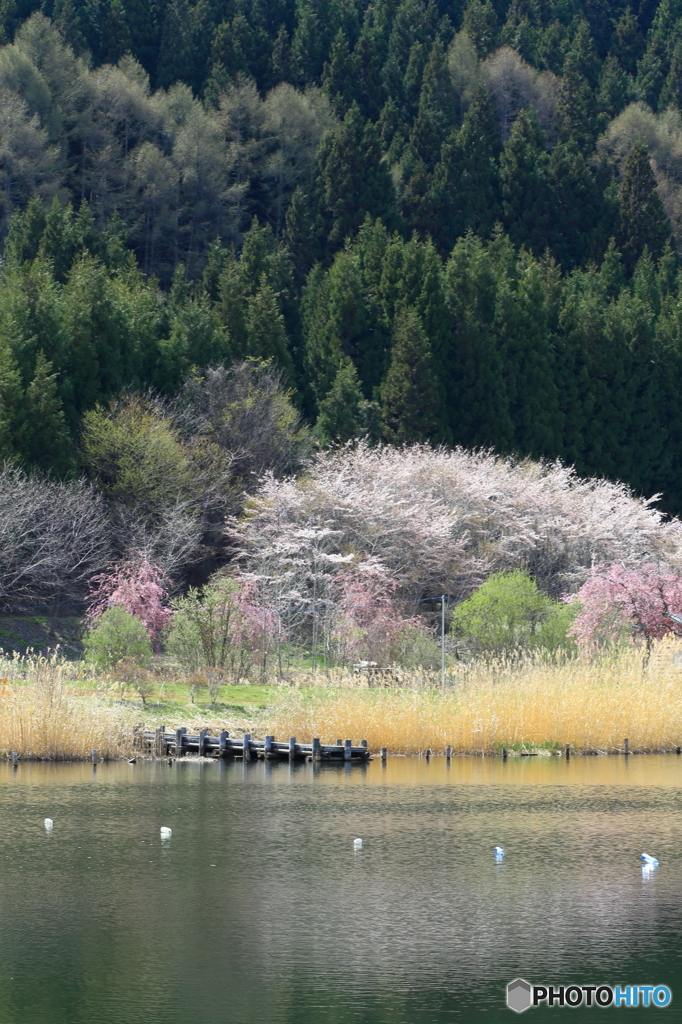 失われゆく光景