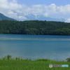 夏の池　４