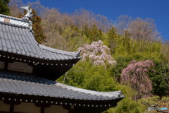 真田の寺