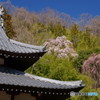 真田の寺