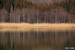 毎年の光景