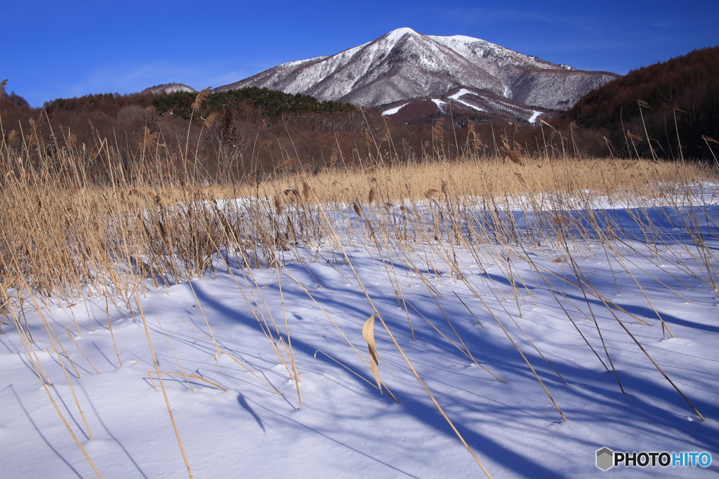 雪の影　その４