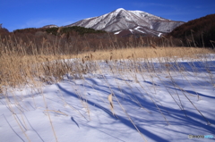 雪の影　その４