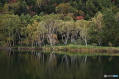 秋の池めぐり　4