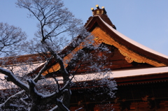 満開