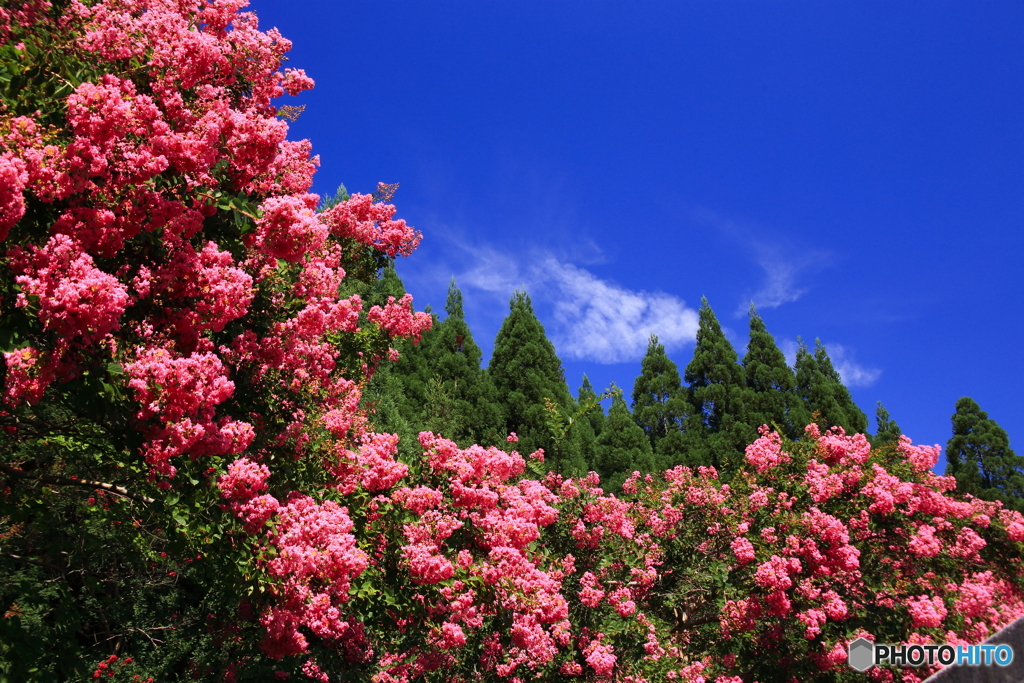 まだまだ夏